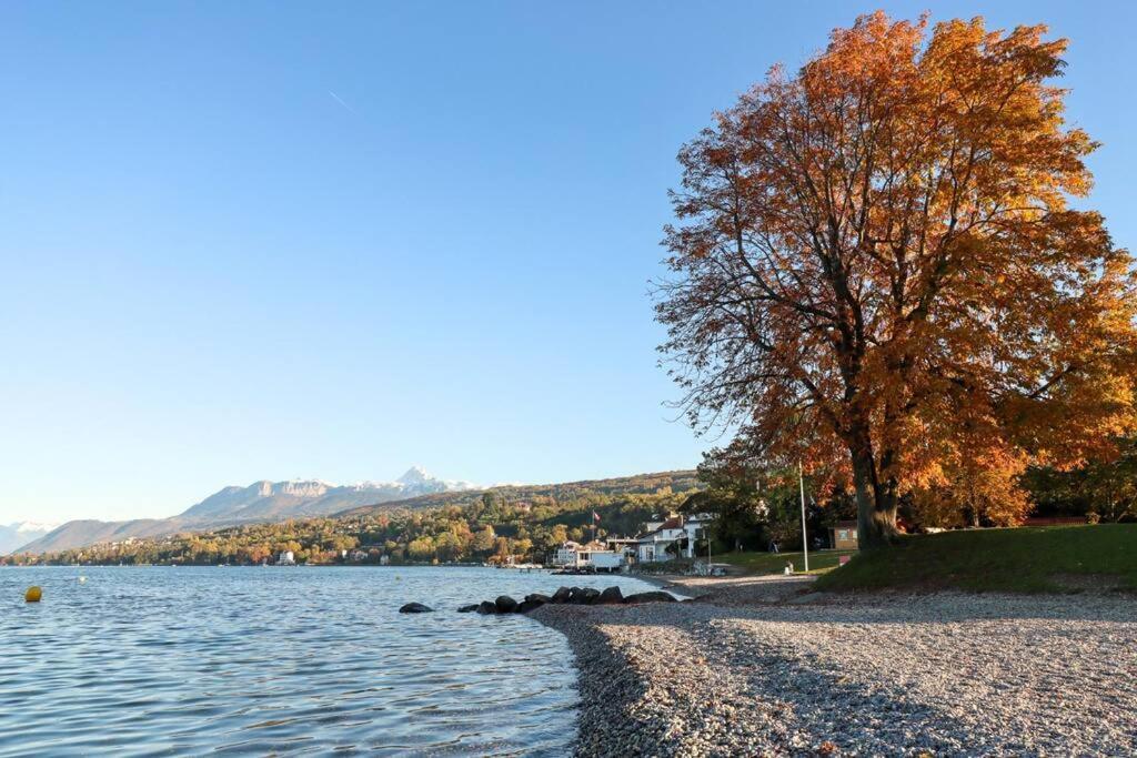 L'Escale Du Leman Apartamento Publier Exterior foto